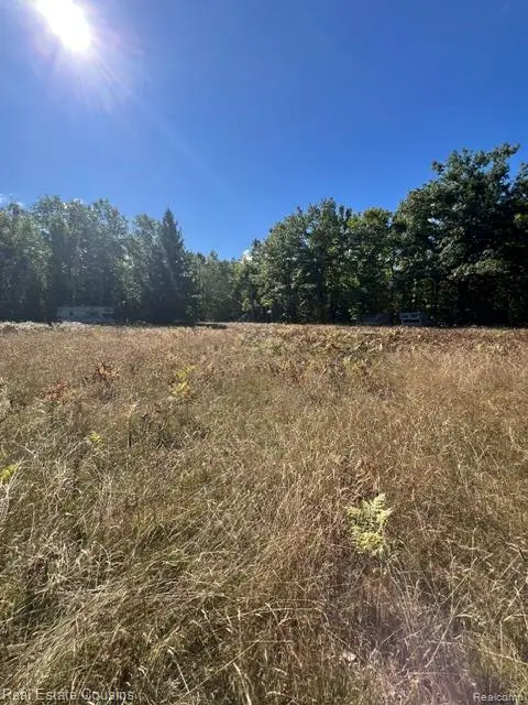 718 Worsh Rd, Mullett, MI 49749 - #2