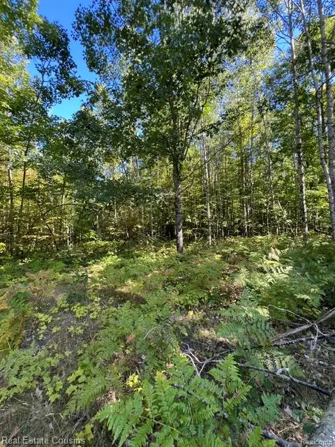 718 Worsh Rd, Mullett, MI 49749 - #3