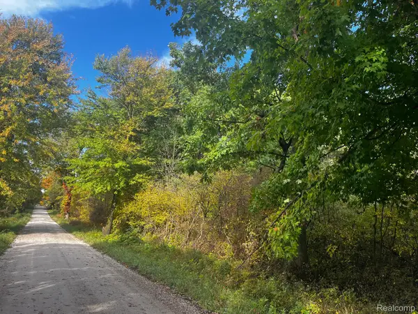 01 Nettney Road, Capac, MI 48014