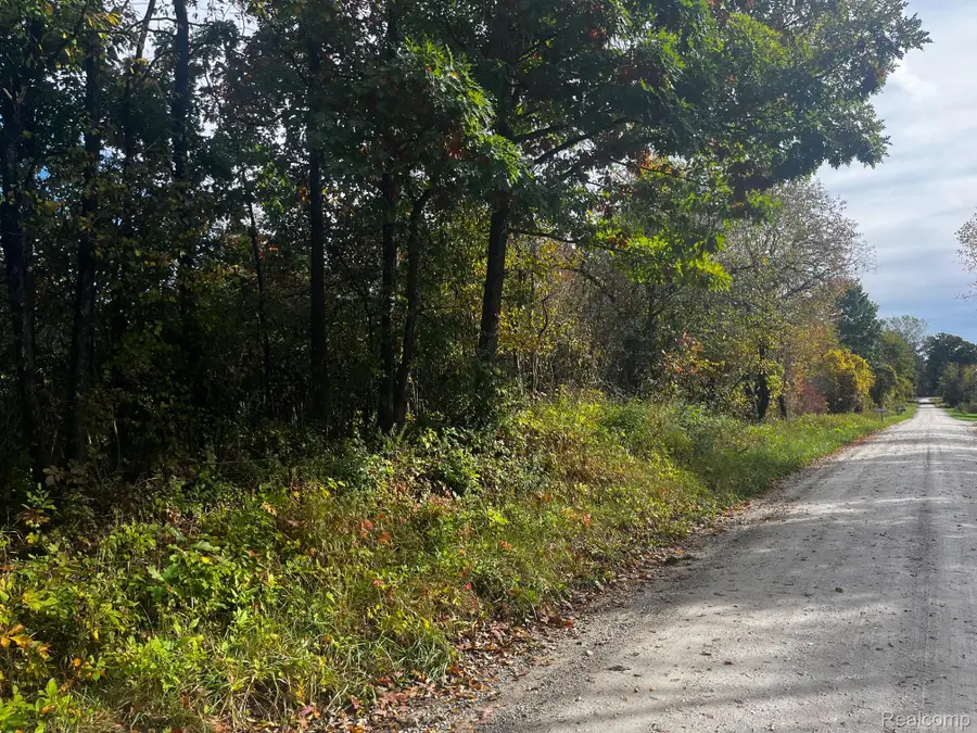 01 Nettney Road, Capac, MI 48014 - #3