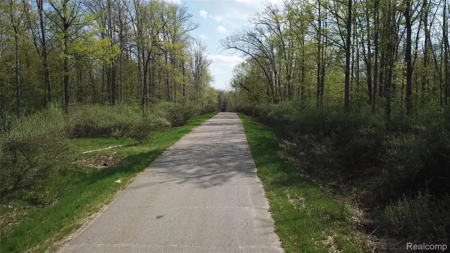 LOT 1 Oak Ridge Court, Mansfield, MI 48756 - #3