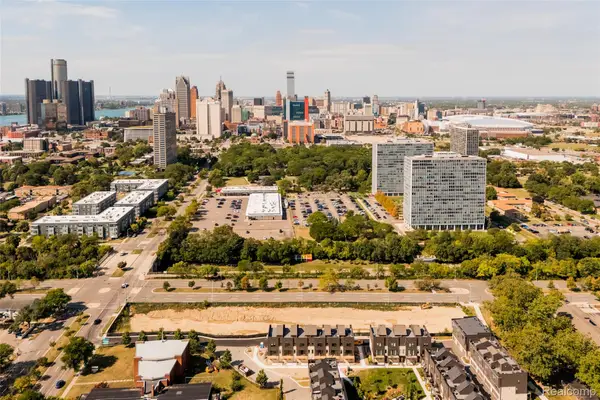 1100 St Aubin, Detroit, MI 48207