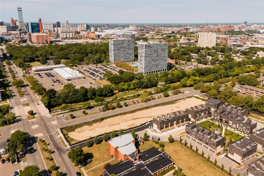 1100 St Aubin, Detroit, MI 48207 - #3