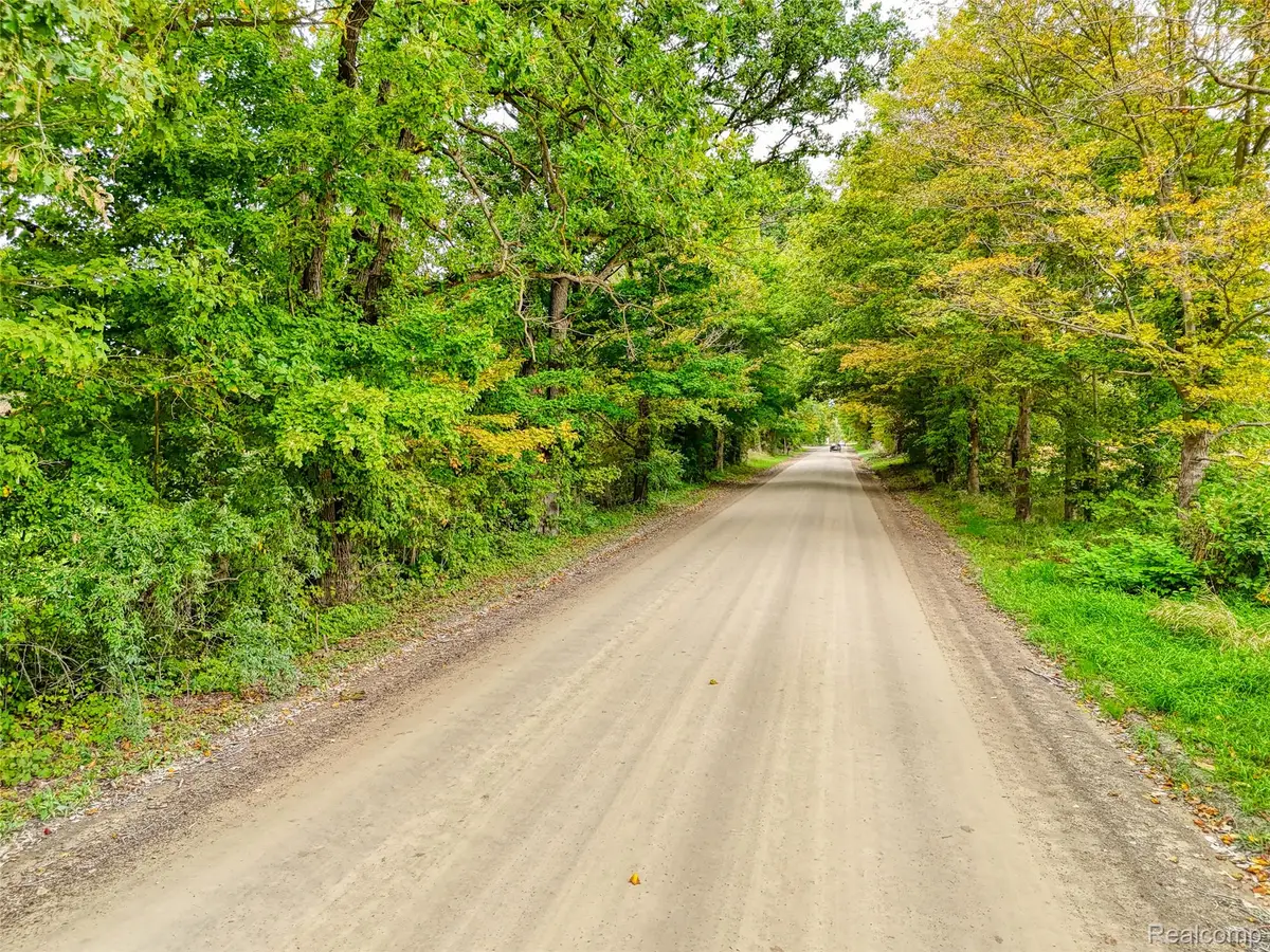 V/L Pingree Rd. Road, Howell, MI 48843 - #1