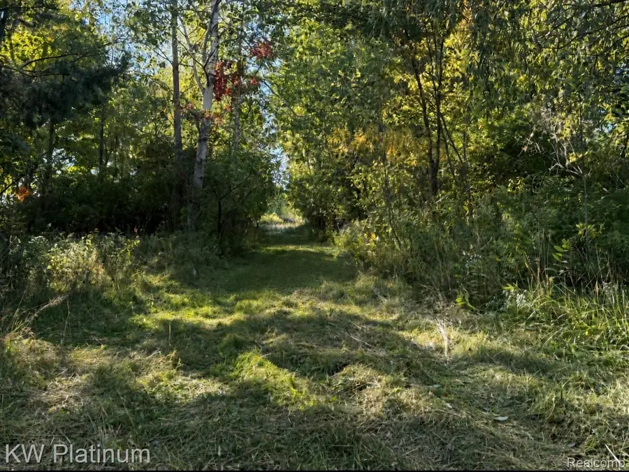 4646 Conrad Road, Mayville, MI 48744 - #2