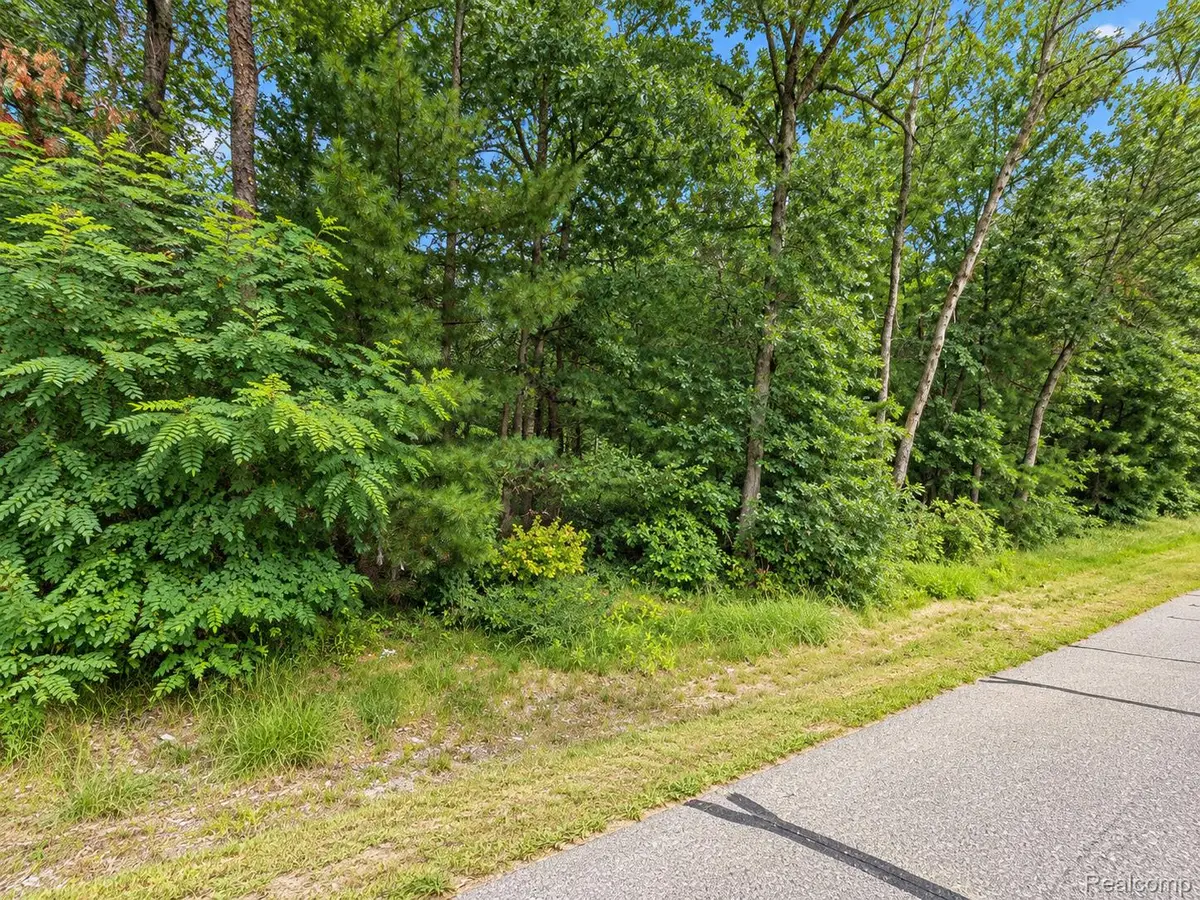 0 Guthrie Street, Baldwin, MI 49304 - #1
