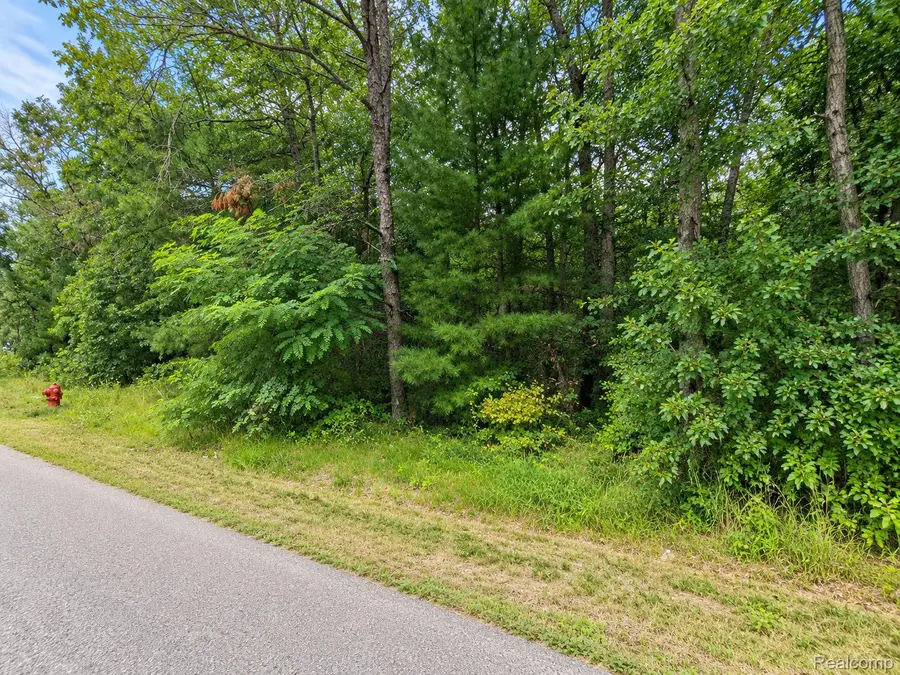 0 Guthrie Street, Baldwin, MI 49304 - #2