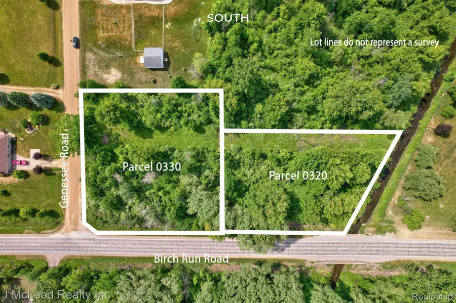 VL Birch Run Road, Millington, MI 48746 - #3