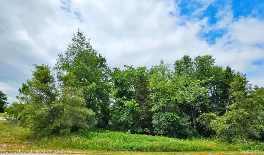 10536 Oak Shore DR, Green Oak, MI 48178 - #3