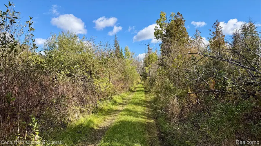 0000 Szymoniak Hwy, Millersburg, MI 49759 - #2