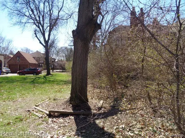 3215 SHERBOURNE RD, Detroit, MI 48221 - #2