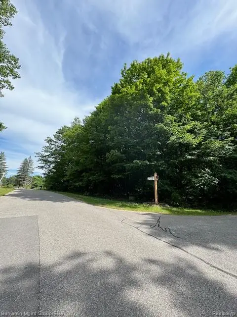 Lot 4 Deskin Drive, Bellaire, MI 49615 - #1