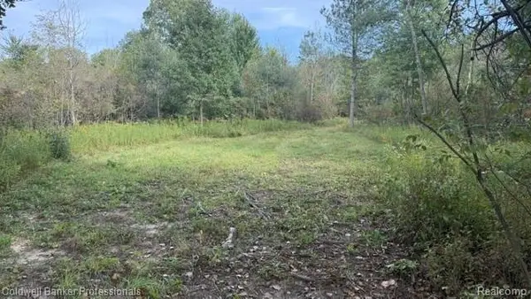 0000 Cribbins, Jeddo, MI 48032