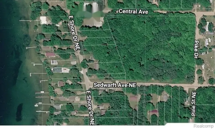 00 Sedwarft RD NE, Kalkaska, MI 49646 - #3