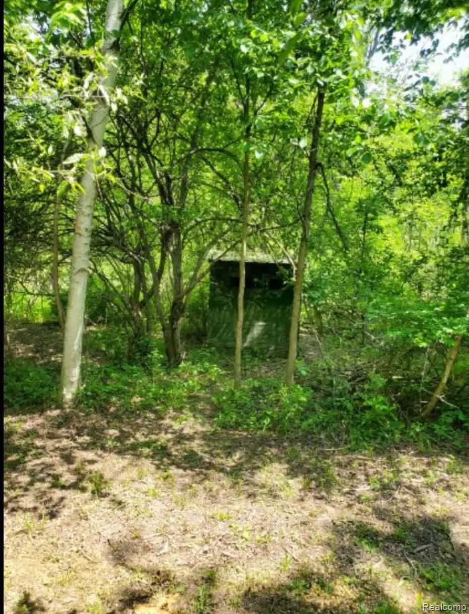 0000 Clothier RD, Kingston, MI 48741 - #1