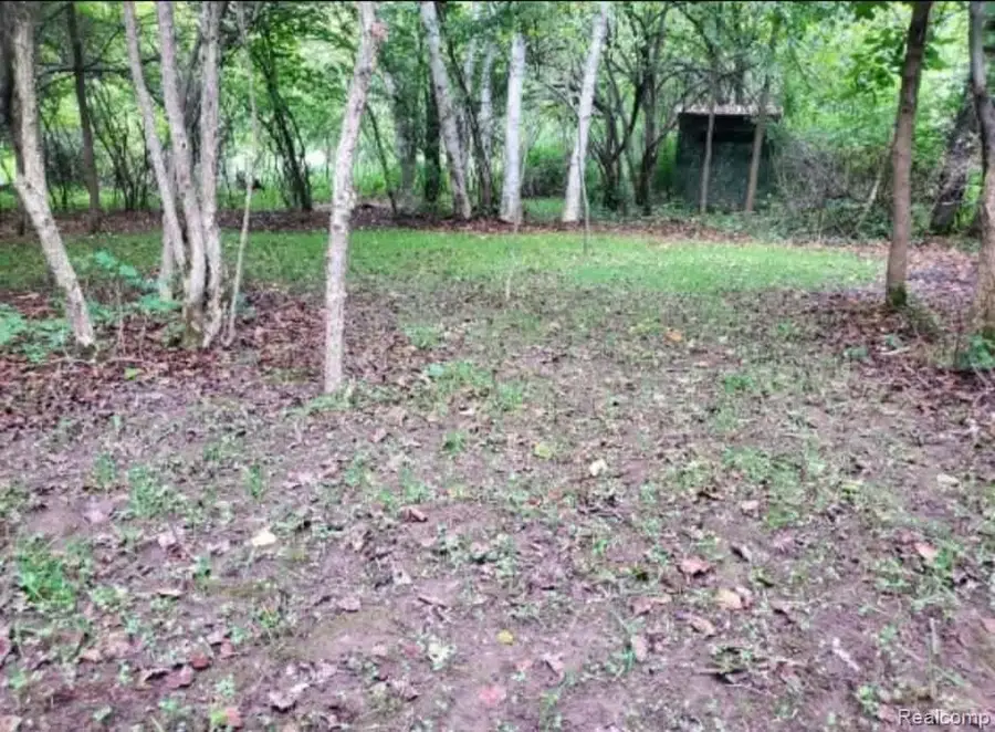 0000 Clothier RD, Kingston, MI 48741 - #2