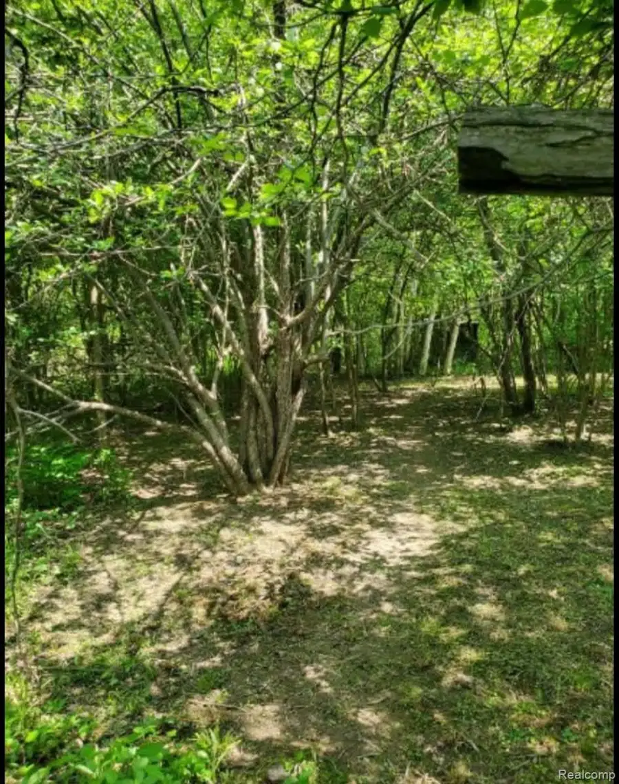 0000 Clothier RD, Kingston, MI 48741 - #3