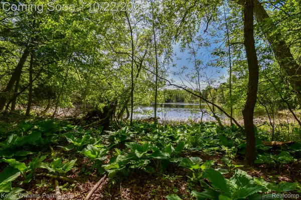 0 Hunters Creek Road, Attica, MI 48412