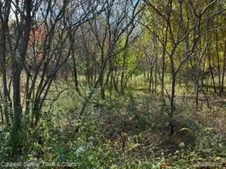 VL Cedar RD, Fowlerville, MI 48836