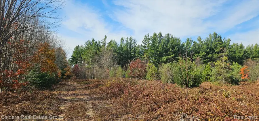 6877 Country LN, Cadillac, MI 49601 - #2