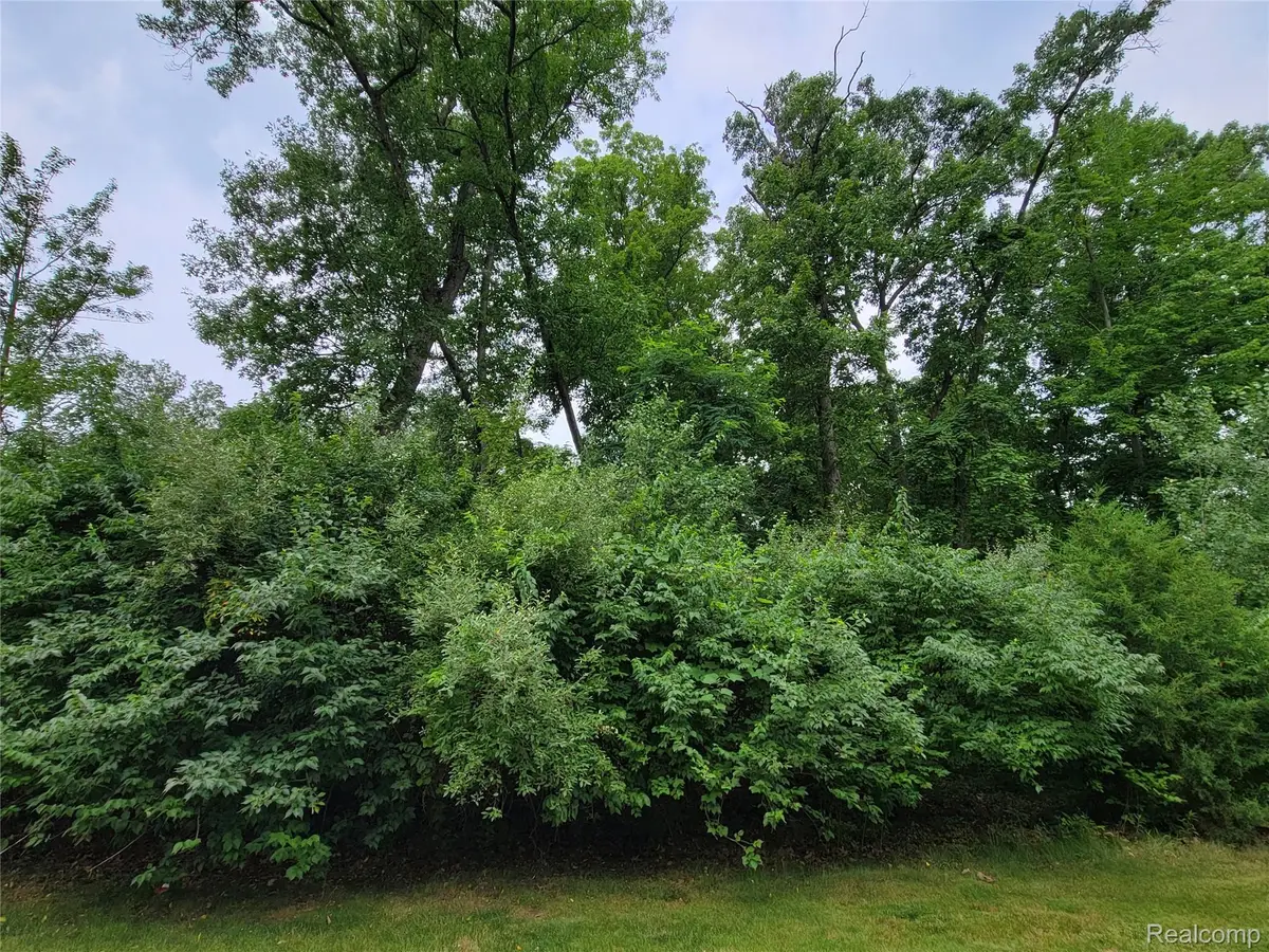 Lot 53 - Pinemont, Brighton, MI 48116 - #1