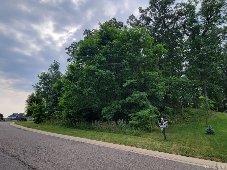 Lot 55 - Wyndam LN, Brighton, MI 48116 - #2