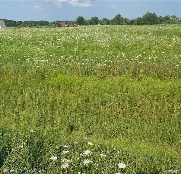 0 CAPAC RD, Capac, MI 48014