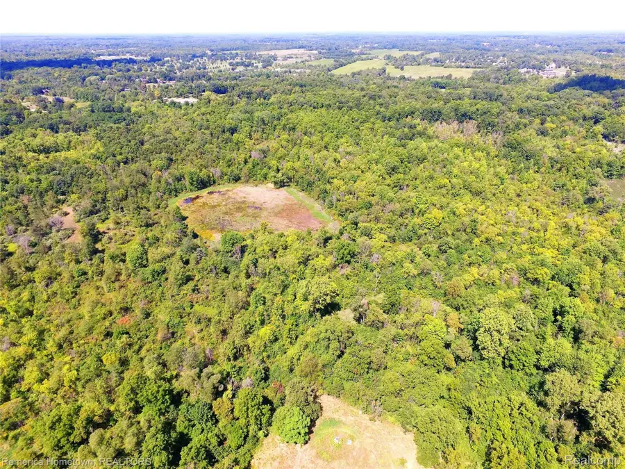 9343 FIVE MILE RD, Salem, MI 48178 - #3