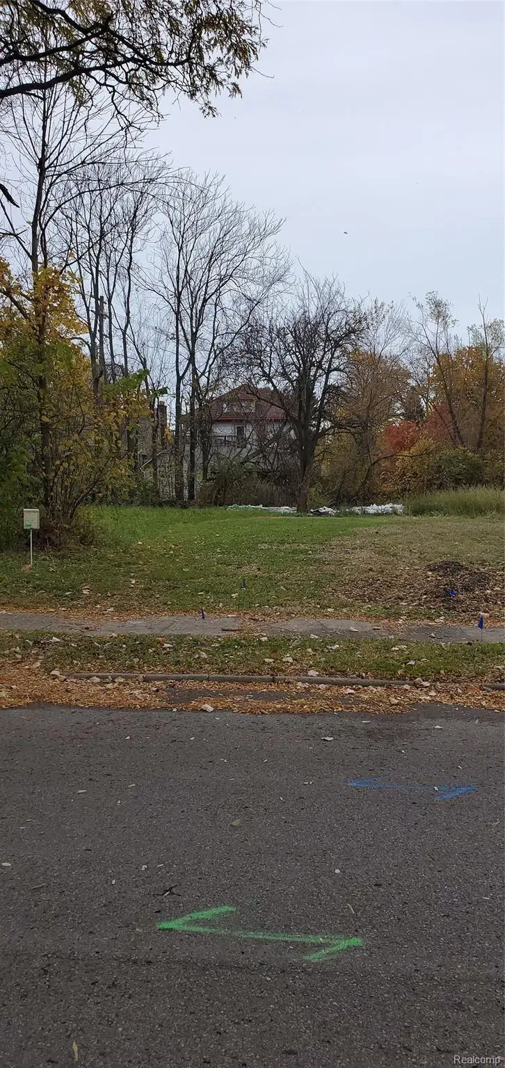 908 MANISTIQUE, Detroit, MI 48215 - #1