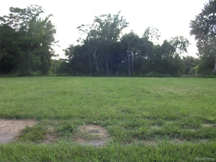 1131 NEWPORT, Detroit, MI 48215 - #2