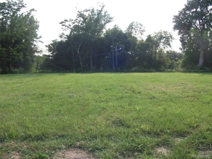 1131 NEWPORT, Detroit, MI 48215 - #3