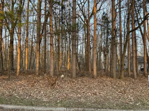 9127 Pineview Lake, Linden, MI 48451