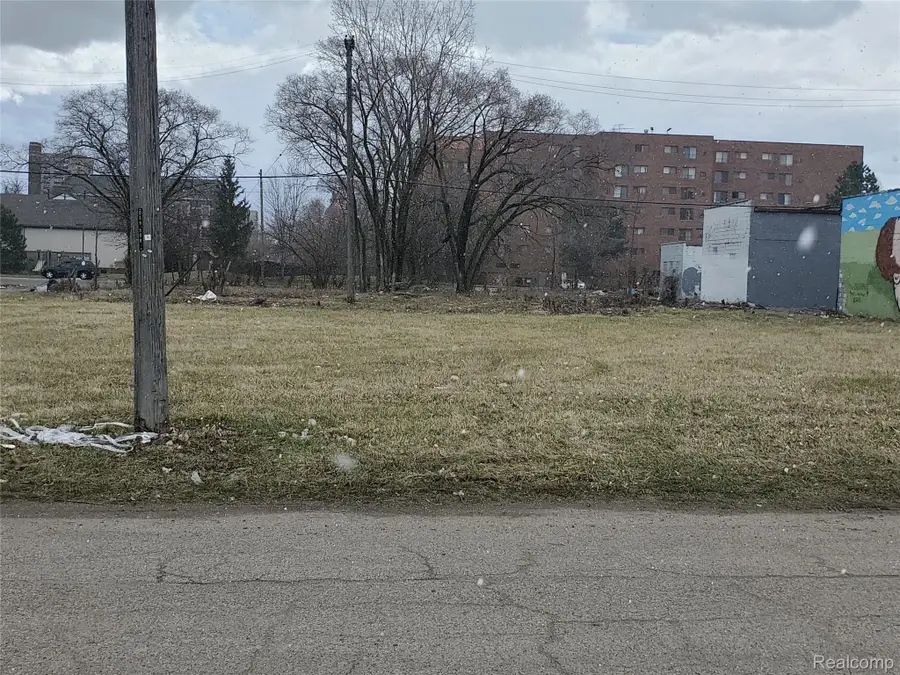 2138 HENDRICKS, Detroit, MI 48207 - #3