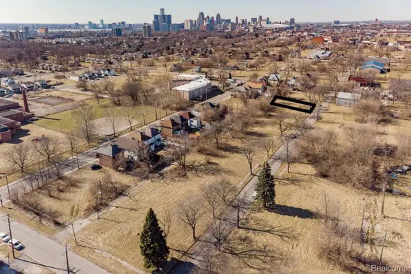 3350 ARNDT, Detroit, MI 48207