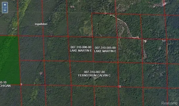 0 MILLION DOLLAR RD, Menominee, MI 49858