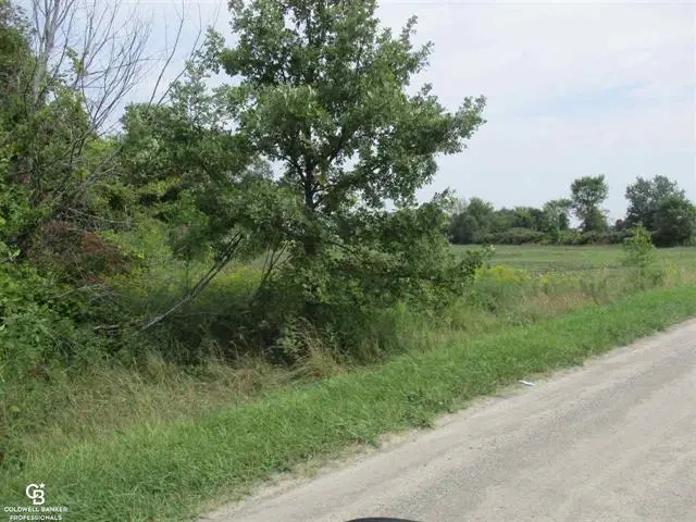 00 Cryderman Rd. Parcel #1, Richmond, MI 48062 - #3