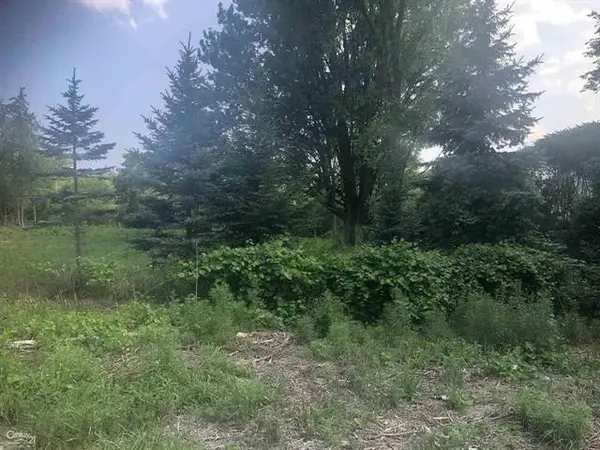 0 31 Mile Rd. Parcel 3, Ray, MI 48096