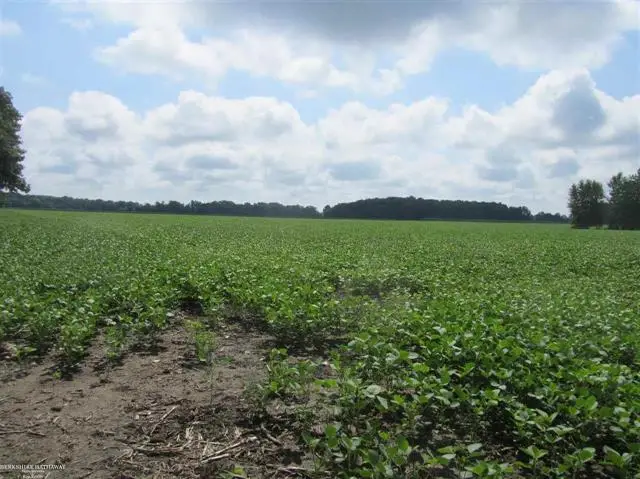 0 Capac RD, Armada, MI 48005 - #3