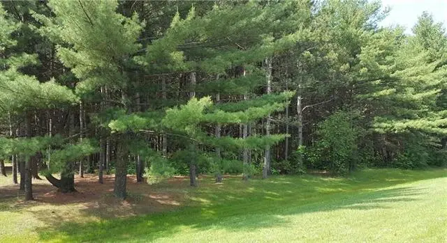 S Washburn RD, Fremont, MI 48768 - #1