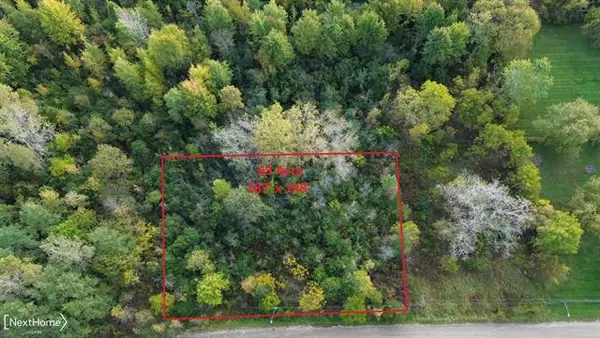 V/L Washington AVE, MtMorris, MI 48458
