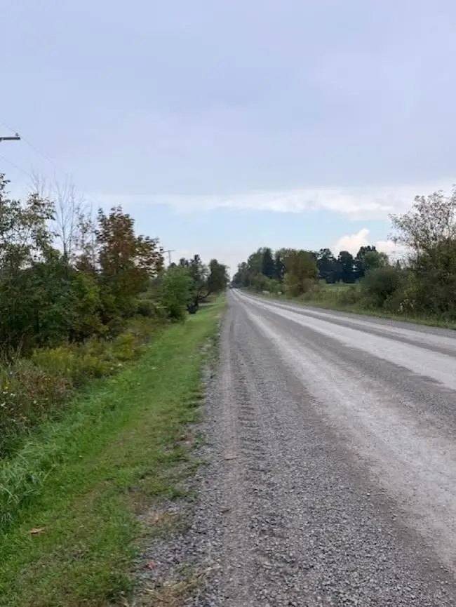 1051 N Cummings RD, Davison, MI 48423 - #2