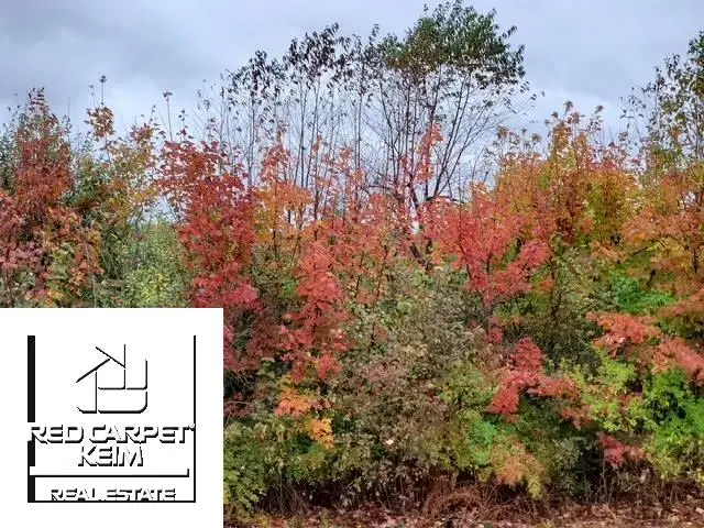 Irish RD, Millington, MI 48746 - #1