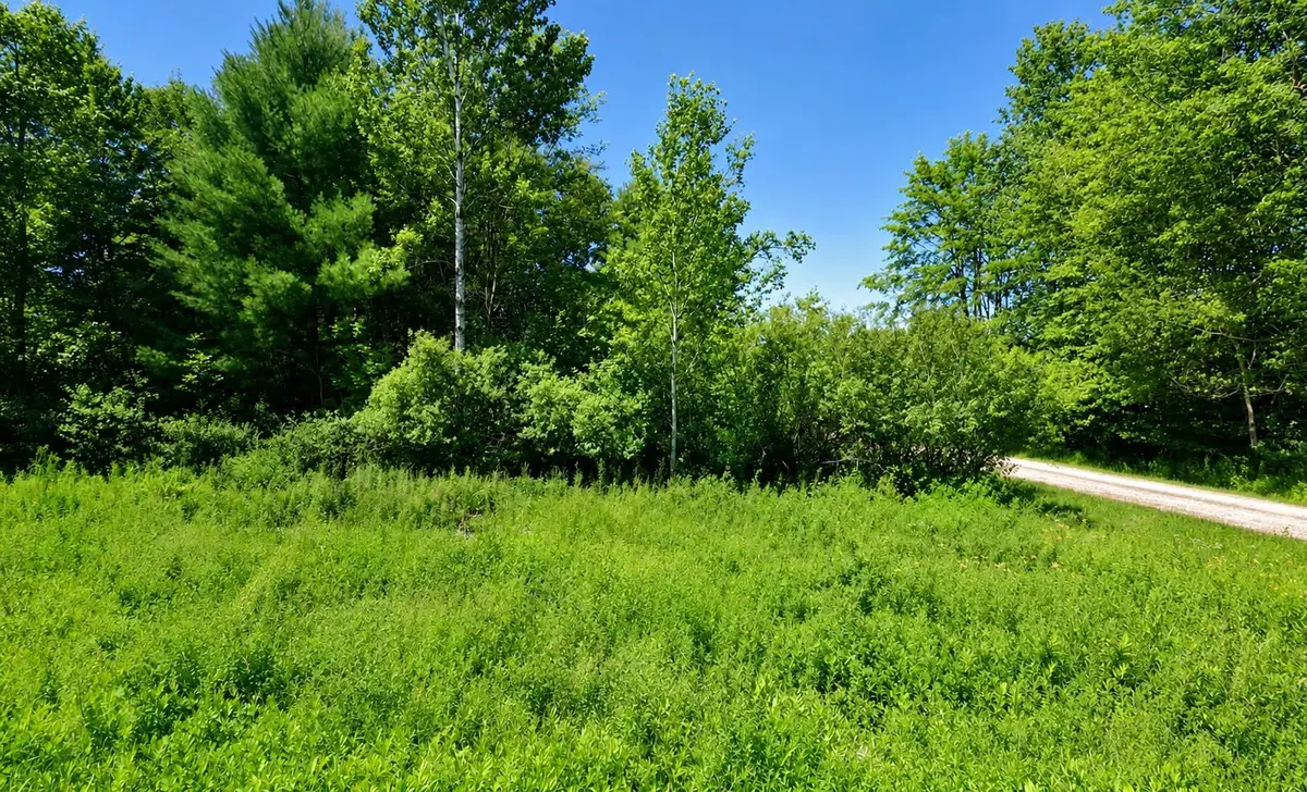 0 2nd ST, Barryton, MI 49305 - #1