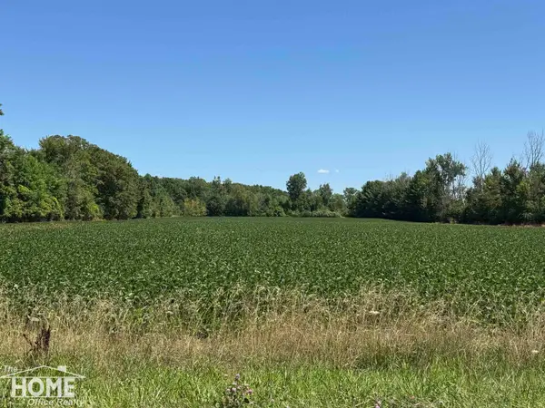 Vacant Webster RD, MtMorris, MI 48458