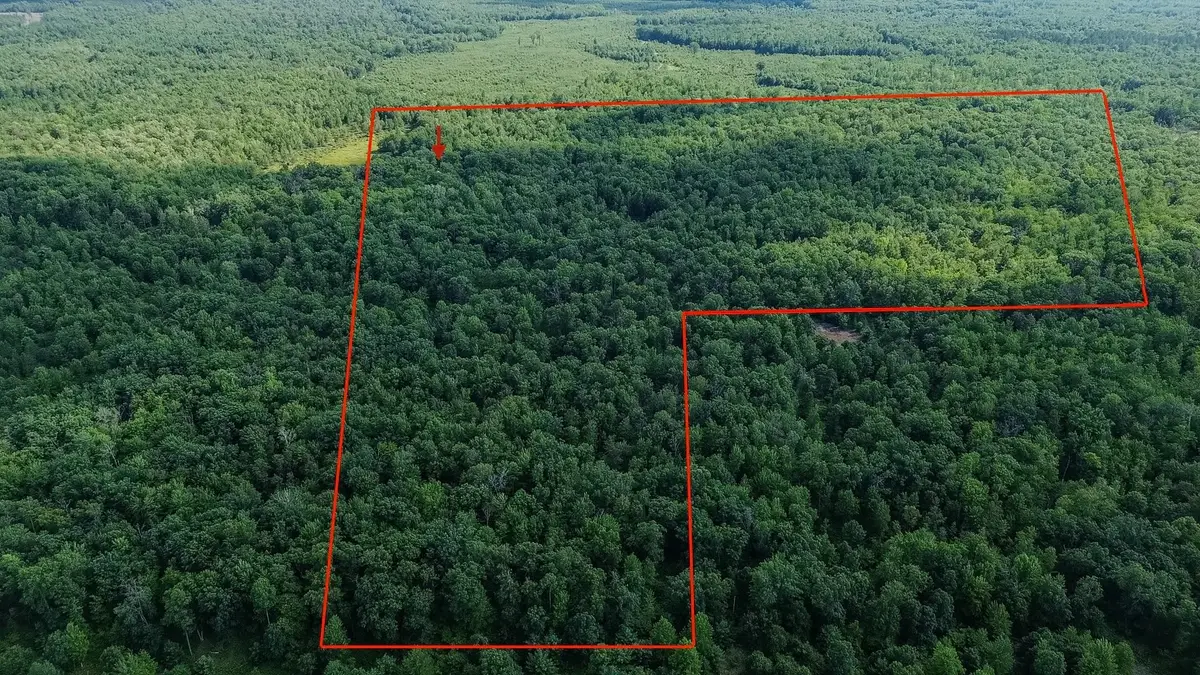 00 Center Fireline Trail TRL, Beaverton, MI 48612 - #1