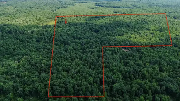 00 Center Fireline Trail TRL, Beaverton, MI 48612