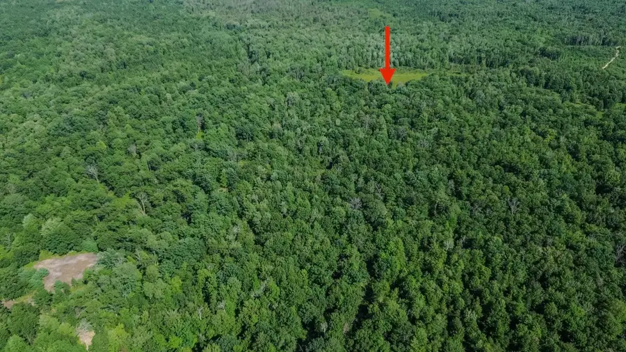 00 Center Fireline Trail TRL, Beaverton, MI 48612 - #2