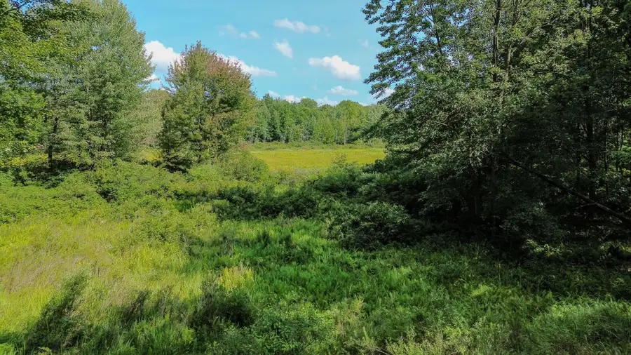 00 Center Fireline Trail TRL, Beaverton, MI 48612 - #3