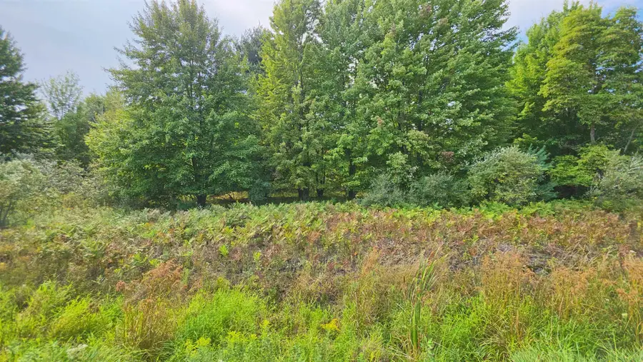14228 Bishop RD, Chesaning, MI 48616 - #3