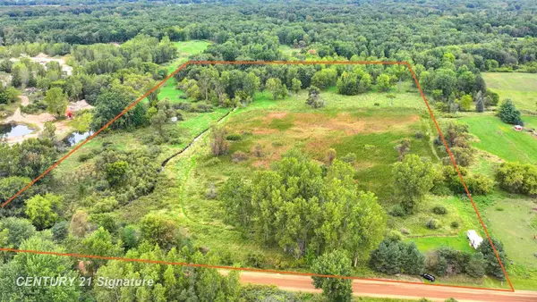 0 Tyrrell RD, Morrice, MI 48857